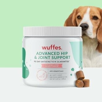 Petlab Co. Joint Care Chews vs Wuffes Chewable Dog Hip and Joint Supplement: A Detailed Comparison